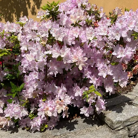 Casa Giorgio Апартаменты